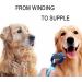 Dog Hair Kamm-Stripper & Cat Fur Comb Set - Double-Sided De-Matting Tool for Pets (Large Blue) | Best Animal Nursing & Grooming Solution - Buy Online on GoSupps.com