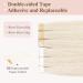 Buy Tess Tape Extensions Real Hair Platinum Blond #70 - 10 Piece 12 (30cm) Remy Human Hair Tape-In Extensions - Smooth & Lightweight 20g - Buy Online on GoSupps.com