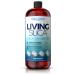 Living Silica Collagen Booster | Vegan Collagen Boosting | Supports Healthy Collagen and Elastin Production for Joint & Bone Support Glowing Skin Strong Hair & Nails. Liquid. (1000 ml 67 servings). Canad