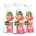 Dettol Antibacterial Multipurpose Cleaning Spray Summer Fruits Fragrance Multipack 1L x 3 Summer Fruits Spray 1L x 3