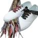 2.5cm Wide Fantastic Flat Shoelaces Fabric Ribbon Plaid Shoe Laces for Sneaker Sport Shoes No.8 - Buy Online on GoSupps.com