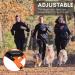 Non-stop Dogwear Freemotion Harness 5.0 | Versatile Dog Harness for All Sports | Size 8 Black/Orange - Shop Internationally - Buy Online on GoSupps.com