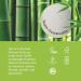 Buy Sustainable Cheeky Panda Kitchen Roll - 1000 Sheets 2-Layer Super Absorbent Large Pack (10 Rolls) - Eco-Friendly Bamboo Paper Towels - Buy Online on GoSupps.com