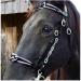 English Horse Bridle - Adjustable Leather Noseband for Horses | Premium Horse Accessories & Racing Equipment (Black) - Buy Online on GoSupps.com