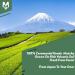 Matchaeco 50g Ceremonial Grade Matcha Green Tea Powder from Japan | Pesticide-Free Premium in Recyclable Jar | Ideal for Baking, Cooking, and Kitchen Gifts | Perfect for Lattes and Brownies - Buy Online on GoSupps.com
