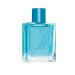 Nautica Oceans Pacific Coast Eau de Toilette 1.6 fl oz (Pack of 1) Notes of Apple Cyclamen and Amberwood Men's Fragrance Long Lasting Everyday Fragrance Travel Size - Buy Online on GoSupps.com