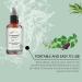 Rosemary Hair Spray Organic Rosemary Oil for Hair Growth Natural Rosemary Hair Oil Smooth & Soft Hair 100ml Rosemary Extract with Castor Seed Oil Prevents Hair Loss and Soothes Scalp - Buy Online on GoSupps.com