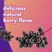 Vitafusion Elderberry Gummy Vitamins 90ct - Chewable Adult Gummies - Buy Online on GoSupps.com