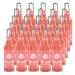 fritz-spritz organic rhubarb spritzer 25 bottles each 0.33l