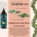Rosemary Castor Oil for Hair Growth 16oz | Live Fraiche Natural Serum - Pure Castor Oil & Rosemary for Thicker Hair Reduce Hair Loss & Healthy Scalp - Buy Online on GoSupps.com