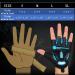 JTEG MTB Gloves - Shockproof Semi-Finger Summer Bicycle Gloves for Men & Women Perfect for Cycling & Sports - Blue - Buy Online on GoSupps.com