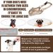 Buy Khaki Soft XS Muzzle for Small Dogs - Breathable Anti-Barking & Chewing Solution - Perfect Gift for Pets (XXS) - Buy Online on GoSupps.com