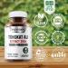 Vegan Labs Tongkat Ali 200:1 Extract - 1200MG Energy & Stamina Support - 180 Vegan Capsules - Gluten Free & Non-GMO Supplement - Buy Online on GoSupps.com