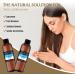 100% Pure Fractionated Coconut Oil Liquid 200 ml - Hair Treatment for Skin and Hair - Buy Online on GoSupps.com