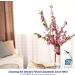 Sparkle Plenty Chandelier Cleaner Drip Dry Spray - 32 fl oz + CLICKTOSAVE Guide | Crystal Chandelier & Glass Figurine Cleaner - No Wipe Dust Remover - Buy Online on GoSupps.com