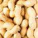  Caporaso dal 1960 Shell peanuts nuts natural dried fruit (200 grams) - Buy Online on GoSupps.com