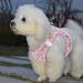 Buy Heele Anti-Pull Dog Harness for Small Dogs - Breathable Adjustable Reflective Soft & Safe - Flower Pink | International Shipping Available - Buy Online on GoSupps.com