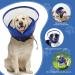Yoolhamy Inflatable Dog Collar with Enhanced Anti-Licking Baffle | 2-in-1 Removable Cone for Small, Medium, Large Dogs | Soft Recovery Collar to Prevent Scratching | M+ Size - Buy Online on GoSupps.com