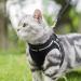 Rabbitgoo Cat Harness and Leash Set - Escape Proof Vest for Small Cats - Reflective Strip - Comfortable Outdoor Walking Gear - Small Black - Buy Online on GoSupps.com