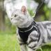 Rabbitgoo Adjustable Cat Dishes & Reflective Cat Harness for Extra Small Cats - Outbreak-Proof Leash Vest (1 Pack Black) - Buy Online on GoSupps.com