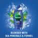 Radox Feel Awake for Men 2in1 Shower Gel 250ml - Energizing Body Wash Ideal for Refreshing Cleanse International Shipping Available - Buy Online on GoSupps.com