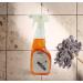 Clearly | (750ml) Professional Floor Cleaner - Ideal for Wood laminate floors Tile and Lino (1) - Buy Online on GoSupps.com