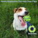 Indestructible Loud Dog Balls | Interactive Dog Toys | Divinggoe Green 3.46 Inch - Buy Online on GoSupps.com