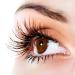 P-Beauty Silk Lashes | Professional Individual Eyelashes for Extensions | Curl D 0.15mm Thickness Length 7-14mm | Shop Internationally - Buy Online on GoSupps.com