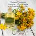 Organic Way St. John's Wort Whole (Hypericum perforatum) - Herbal Tea | European Wild-Harvest | Organic Kosher & USDA Certified | Vegan Non GMO & Gluten Free | Origin - Albania (1LBS / 16Oz) 16 Ounce (Pack of 1) - Buy Online on GoSupps.com