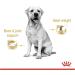 Royal Canin Labrador Retriever Adult in Gravy Wet Dog Food 140g (Pack of 10) - Buy Online on GoSupps.com