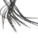 Real Feather Hair Extensions - White Grizzly Stripe (10 Feathers)