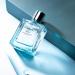Parfum for men Exquisite Hypoallergenic Eau De Parfum Captivating Beauty Products Suitable for Travel Size Gift for men One Size Grey - Buy Online on GoSupps.com