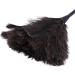 AIDIRui Ostrich Duster Dusters with Long Plastic Handle Cleaning Brush Tool Cleaning Duster Household Cleaning Tool - Buy Online on GoSupps.com