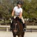 Equinavia Ingrid Women's Equestrian Show Shirt - White, X-Large - Buy Online on GoSupps.com