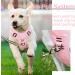 Heele Dog Crockery & No-Pull Harness - Soft Breathable Reflective & Padded for Medium Dogs - XL Uni-Pink - Buy Online on GoSupps.com