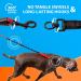 Premium Bungee Dog Leash for Large & Medium Dogs | Reflective Elastic Design with Jerk Dampers - Red - Buy Online on GoSupps.com