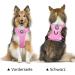 POPOTET Soft Breathable Dog Harness - Light Pink Adjustable Mesh Vest for Comfort & Safety (Medium 1-Pack) - Buy Online on GoSupps.com