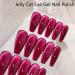 Jelly Cat Eye Gel Nail Polish Rose Red Glitter Crystal Gel Polish Shiny Magnetic Nail Polish Soak Off UV/LED Sparkle Red Wine Holographic Cat Eye Gel Polish for Nail Art Salon DIY at Home - Buy Online on GoSupps.com