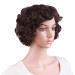 MapofBeauty 11.8 Inch Special Elderly Short Curly Fashion Wig in Dark Brown - Buy Online on GoSupps.com