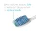 TAO Clean Daily Care Whitening Replacement Heads - 2 Pack | International Shipping Available - Buy Online on GoSupps.com