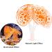VOCOSTE Silicone Glowing Aquarium Coral with Suction Cup - Vibrant Orange Simulation for Aquatic Decor | International Shipping Available - Buy Online on GoSupps.com
