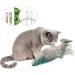 All for Paws Cat Interactive Electric Flopping Fish Motion Activate Wiggle Fish Catnip Toys Moving Fish, Two Pack Catnip Included, USB Charge Trout