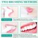 2024 Teethaid Mouthwash - Whitening Foam for Ulcers & Caries Prevention (3PCs) | International Shipping - Buy Online on GoSupps.com