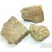 RAW HERBS/JADI BOOTI DRIED MURDASINGI MURDAR SINGH MURDAR SENG LITHARGE (100gm) - Buy Online on GoSupps.com