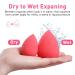 5 Pcs Latex-Free Makeup Sponge Set with Holder - Wet & Dry Beauty Blenders for Foundation & Powder - Buy Online on GoSupps.com