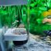 WEAVERBIRD Aquarium Cichlids Fish Egg Incubator Tumbler Fish Hatchery Breeding Mouth-Brooding (50MM) - Buy Online on GoSupps.com