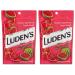 Luden's Watermelon Cough Throat Drops Pectin Lozenge/Oral Demulcent 25-Count per Pack (2-Pack)