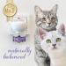 Felisept Family Comfort Relaxing Agent in Multi-Cat Household Plug-In Diffuser and Refill 45ml Starter Set - With natural catnip - Cat plug in calmer - Release tensions and reduce sustainably Starter Set (Diffuser + Refill 45ml) - Buy Online on GoSupps.com