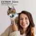 Optimized Airtag Cat Neck Band - Reflective GPS Collar with AirTag Holder & Bell - Blue XS - Buy Online on GoSupps.com
