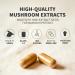 Hifas da Terra HIFAS-MICROBIOTA - Organic Mushroom Complex Supplement with Lion's Mane Reishi and Shiitake Nootropic & Adaptogenic Mushroom Capsules for Adults Gut Immune & Brain Health - 60 Caps - Buy Online on GoSupps.com